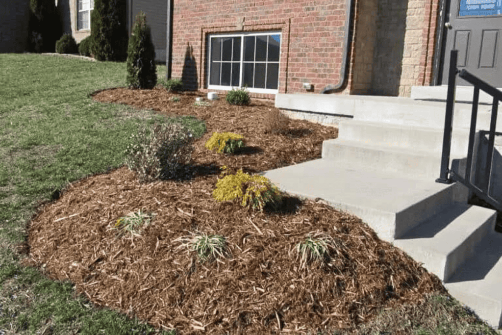 Landscaping Project 2