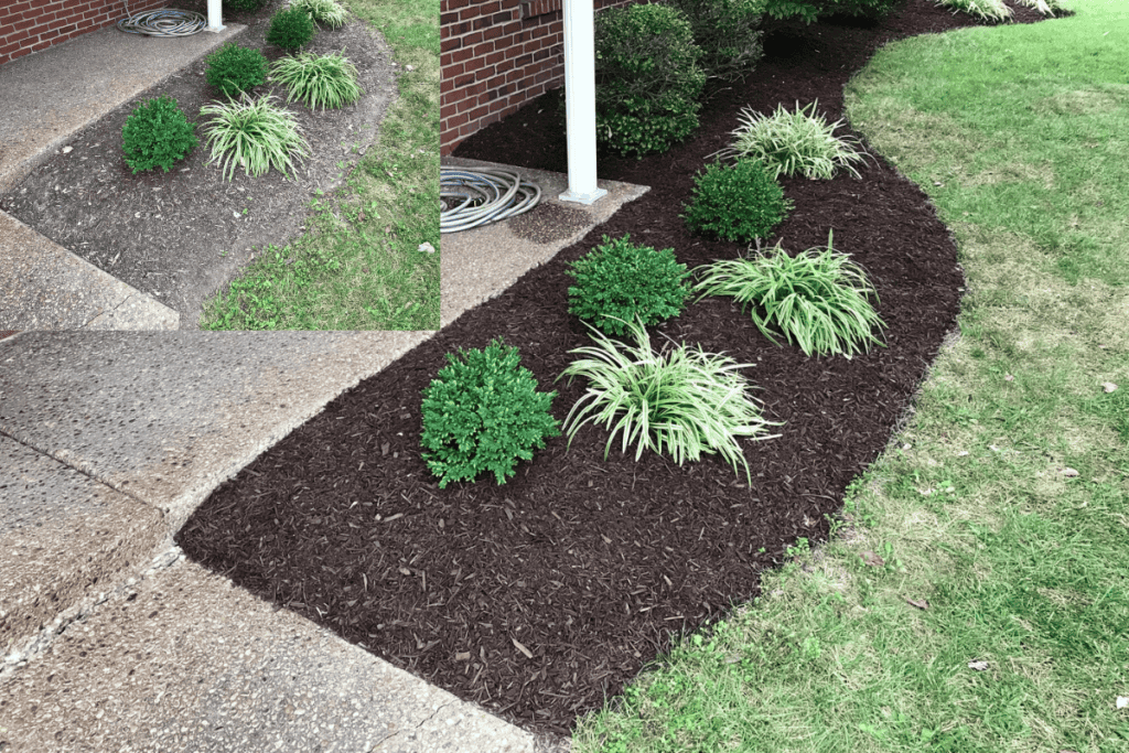 Mulch Before and After