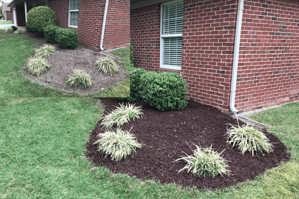 Mulch Before and After 2